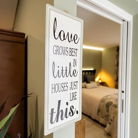 Birds Shelter & Birds Leaves *