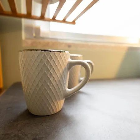 Birds Shelter & Birds Leaves Villa