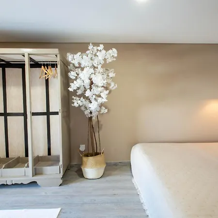 Villa Birds Shelter&birds Leaves