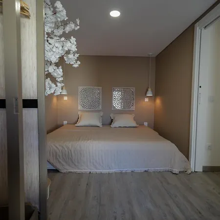 Birds Shelter & Birds Leaves