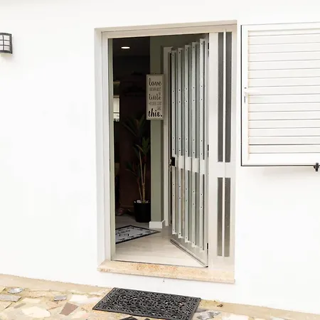 Birds Shelter&birds Leaves