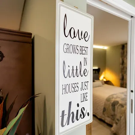 Birds Shelter & Birds Leaves