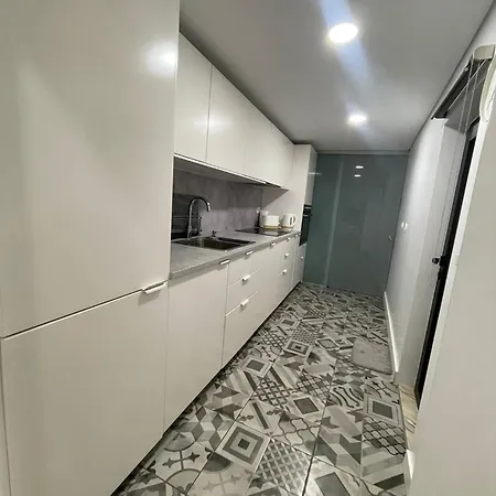 Birds Shelter & Birds Leaves *