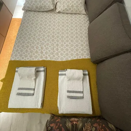 Birds Shelter & Birds Leaves Villa