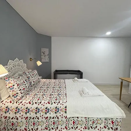 Birds Shelter&birds Leaves Fanzeres