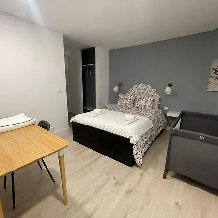 Birds Shelter & Birds Leaves