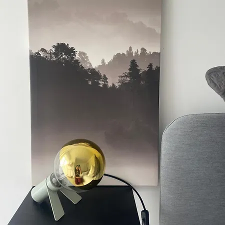 Birds Shelter&birds Leaves * Fanzeres