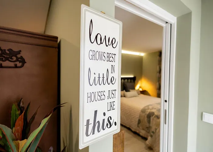 Birds Shelter & Birds Leaves *