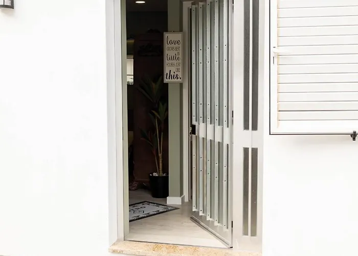 Birds Shelter & Birds Leaves