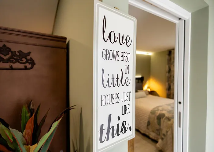 Birds Shelter & Birds Leaves