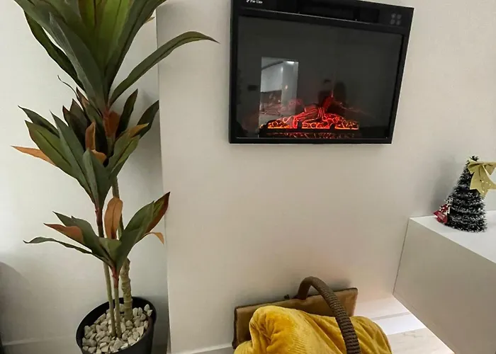 Birds Shelter & Birds Leaves * Fanzeres