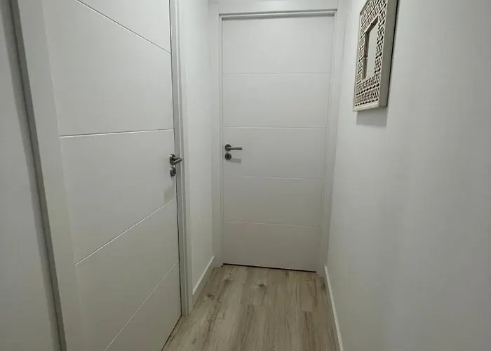 Birds Shelter & Birds Leaves