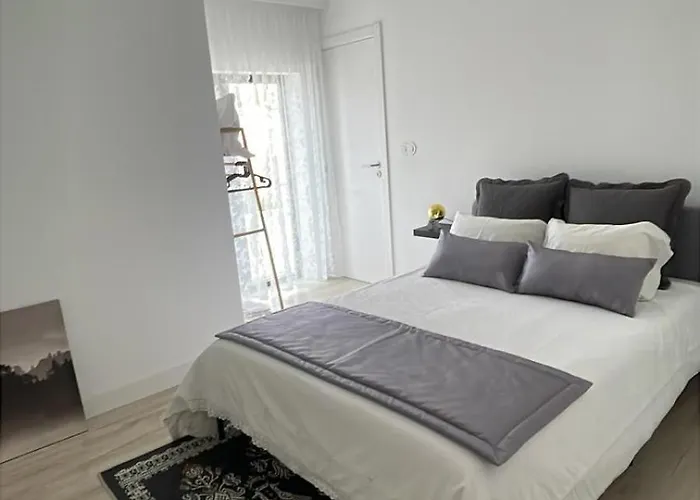 Birds Shelter & Birds Leaves Fanzeres