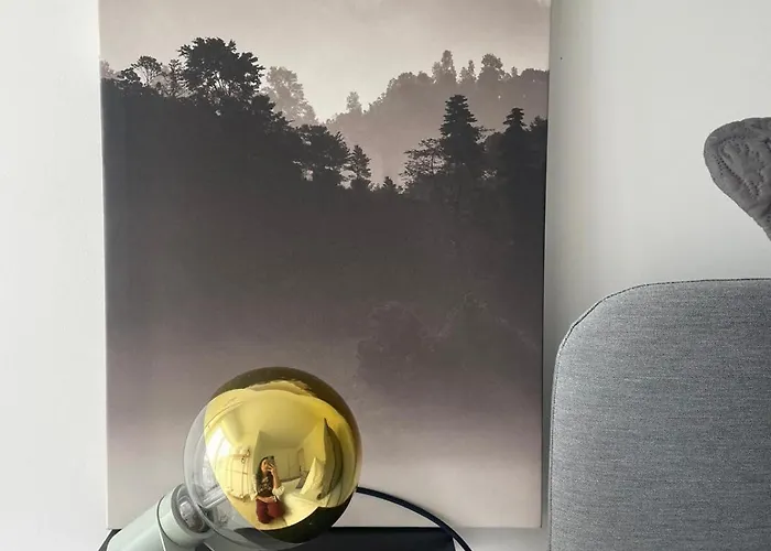 Birds Shelter & Birds Leaves * Fanzeres